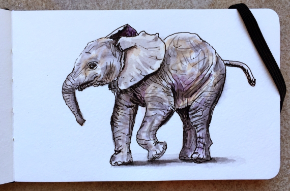 Baby Elephant Walk Doodlewash